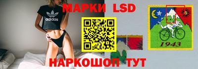 спайс Можга