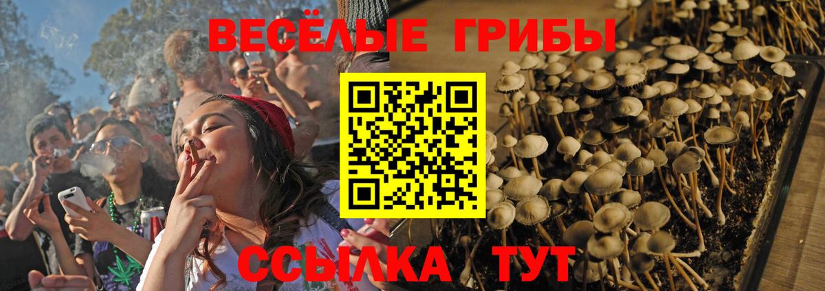 сколько стоит  Вход с VPN  Чехов  Псилоцибиновые грибы мухоморы 