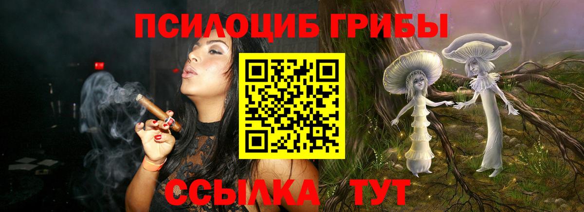 Галлюциногенные грибы MAGIC MUSHROOMS Чехов